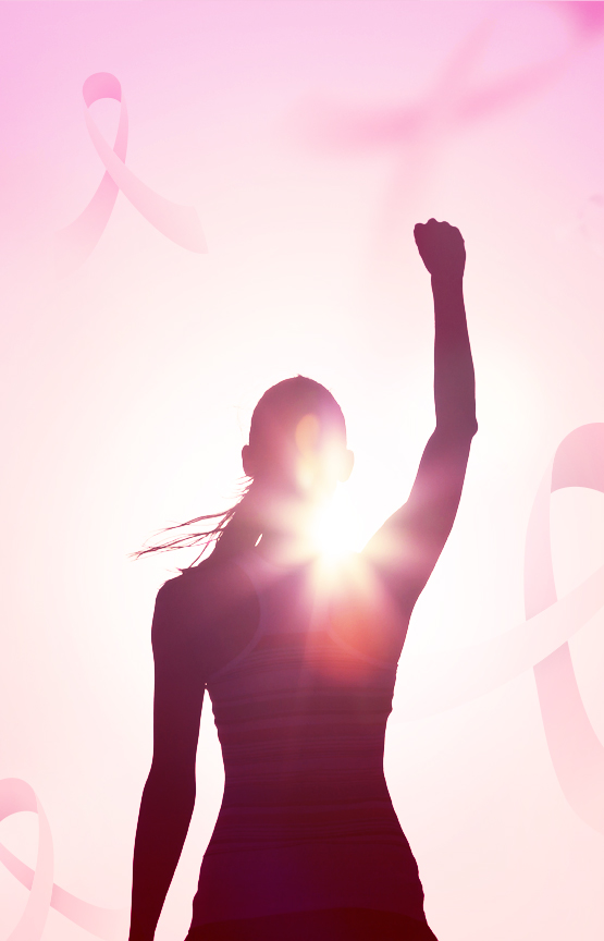 Breastlink Risk Assessment