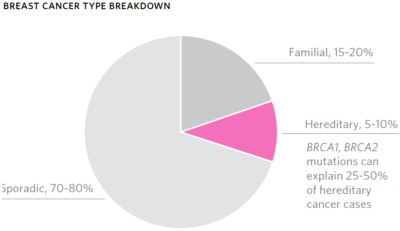 Breast Cancer Risk Genes — Association Analysis in More than